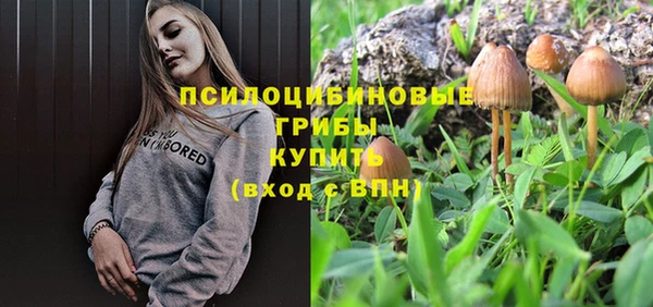 соль ск Белоозёрский